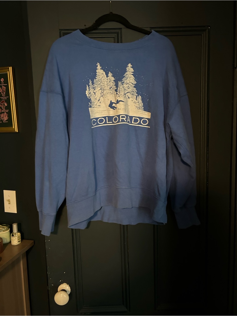 American Eagle Blue Colorado Graphic Sweatshirt